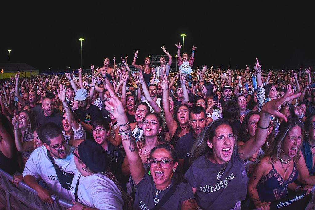 Crowd of enthusiastic concertgoers cheering and enjoying music at a nighttime festival.